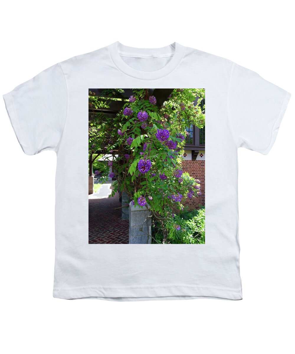 Garden Youth T-Shirt featuring the painting Native Wisteria Vine I by Angela Annas