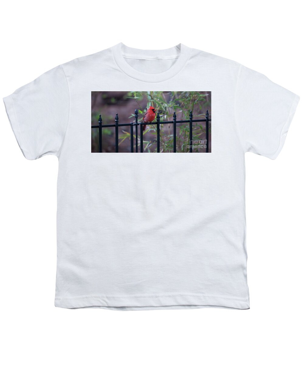 Red Bird Youth T-Shirt featuring the photograph Nature Calling by Dale Powell