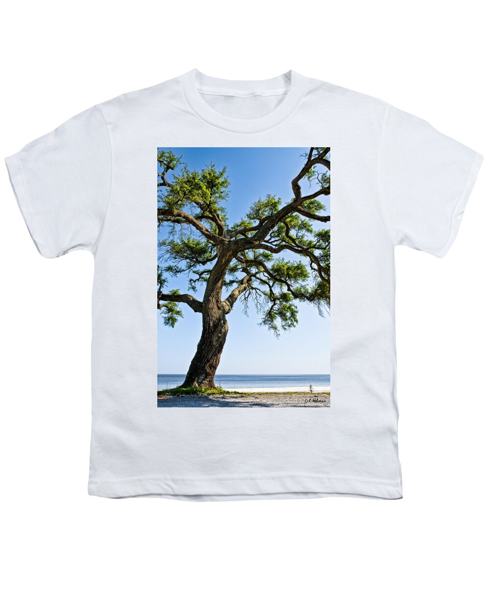 Tree Youth T-Shirt featuring the photograph Oak At The Beach by Christopher Holmes