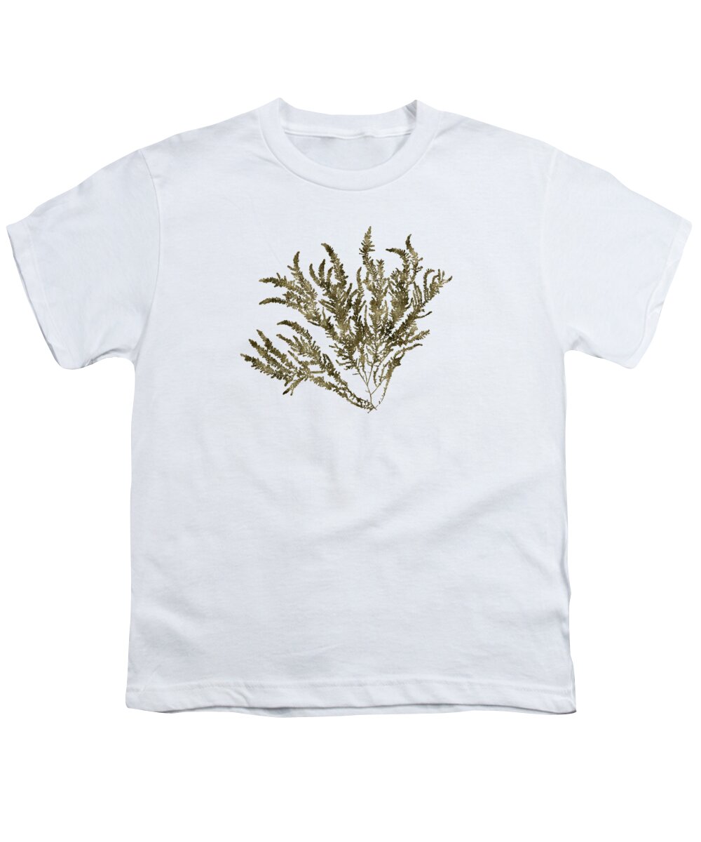 Seaweed Youth T-Shirt featuring the mixed media Ocean Seaweed Plant Art Ptilota Sericea Square by Christina Rollo