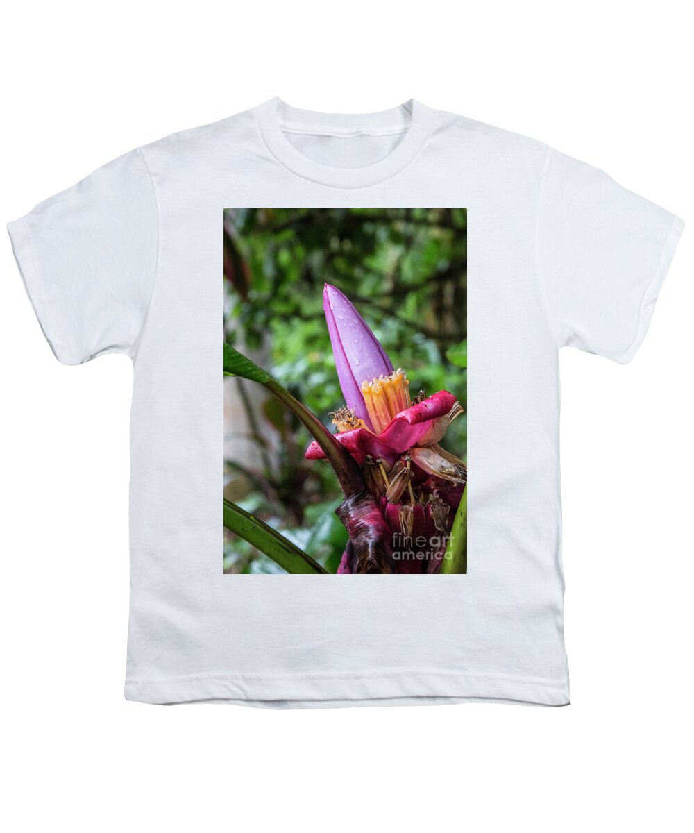 Cloud Forest Youth T-Shirt featuring the photograph Ornamental Banana Flower by Kathy McClure