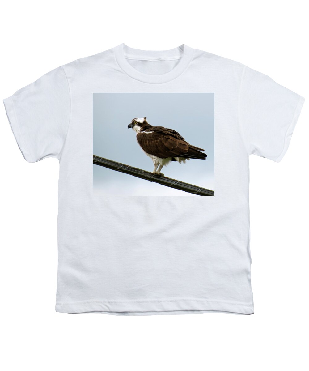 Bird Youth T-Shirt featuring the photograph Osprey by Azthet Photography