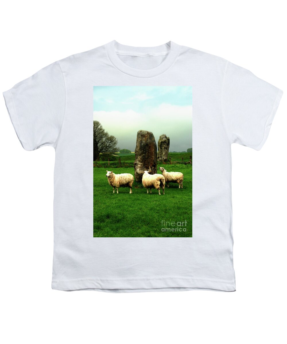 Sheep Youth T-Shirt featuring the photograph Ovine Tourists by Richard Gibb