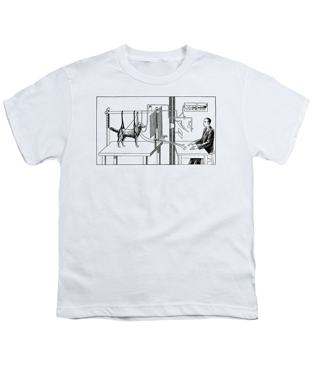 History Youth T-Shirt featuring the photograph Pavlovian Experiment On Dog by Wellcome Images