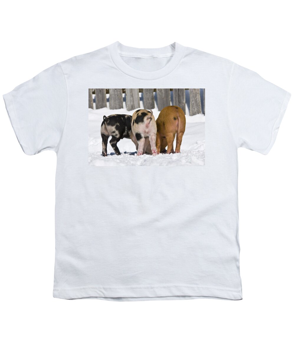Piglet Youth T-Shirt featuring the photograph Piglets From Behind by Jean-Louis Klein & Marie-Luce Hubert