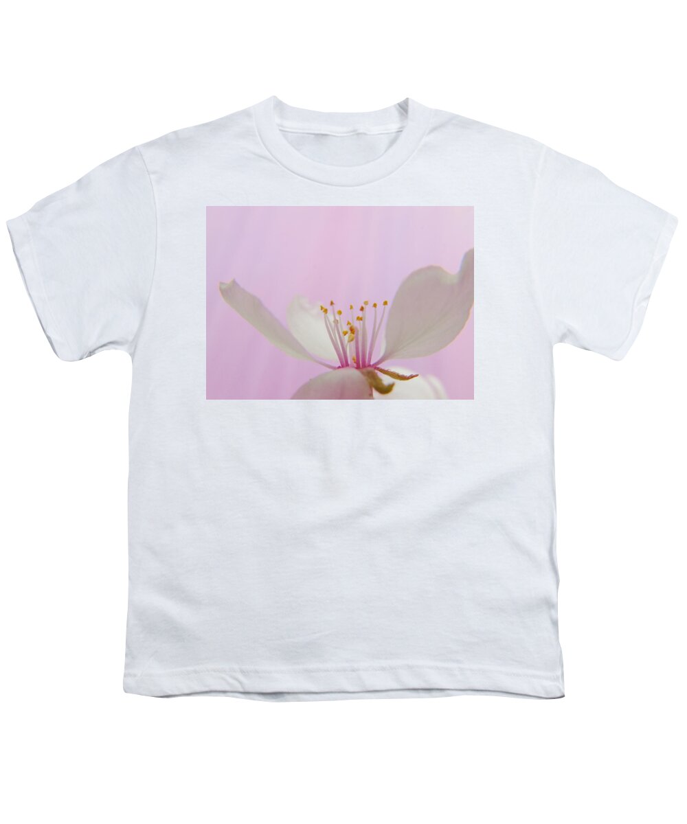 Cherry Youth T-Shirt featuring the photograph Pretty in Pink Cherry Blossom by Barbara St Jean