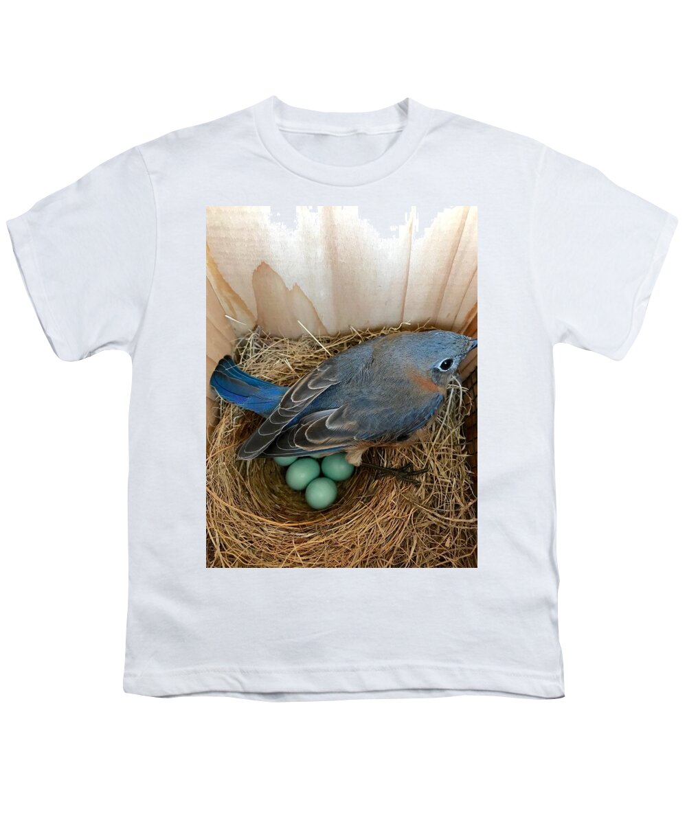 Bluebird Youth T-Shirt featuring the photograph Protected by Jackson Pearson