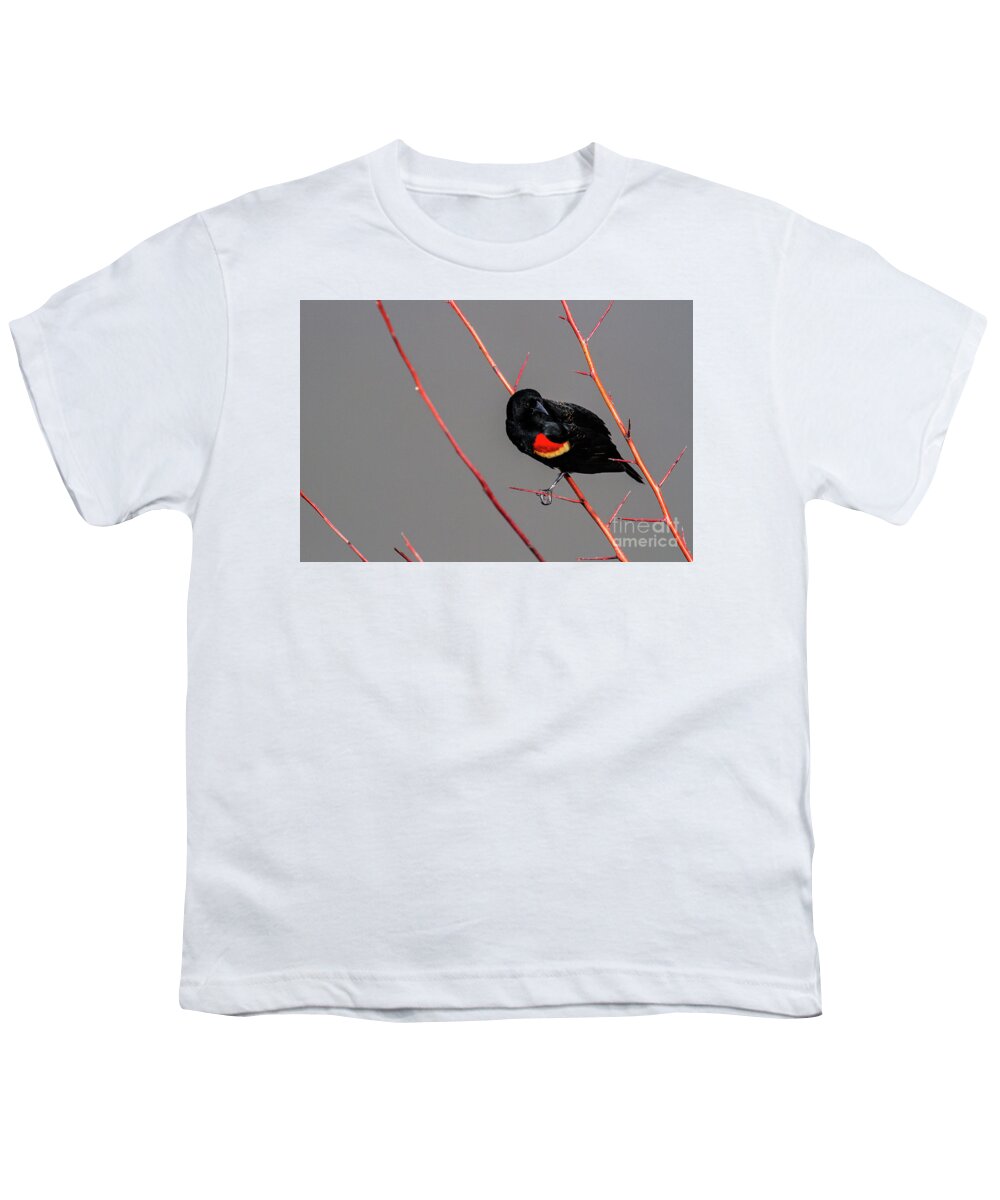 Red-winged Blackbird Youth T-Shirt featuring the photograph Red Twigs by Jim Garrison