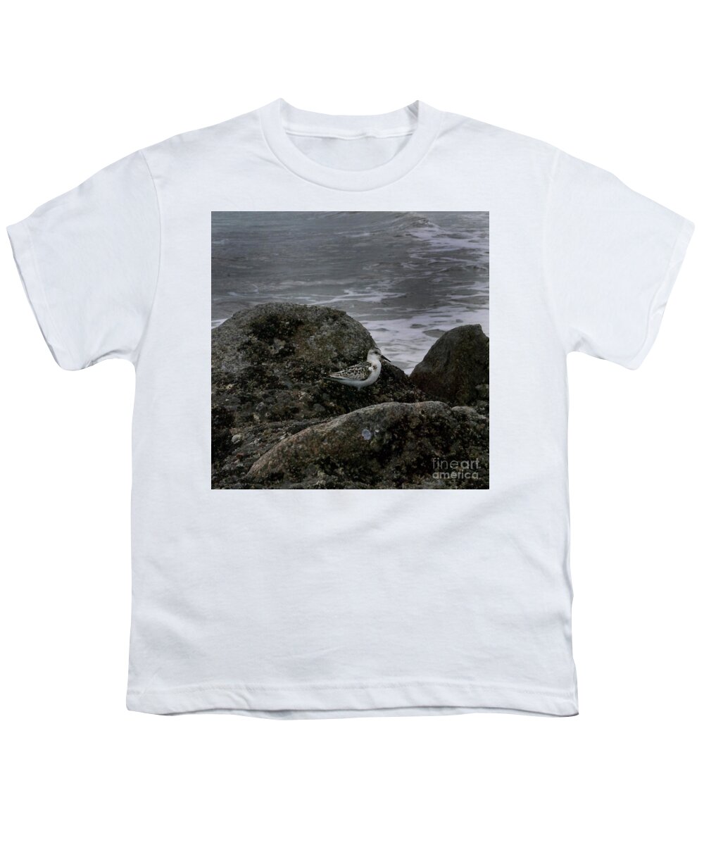 Animals Youth T-Shirt featuring the photograph Rock Dweller by Skip Willits