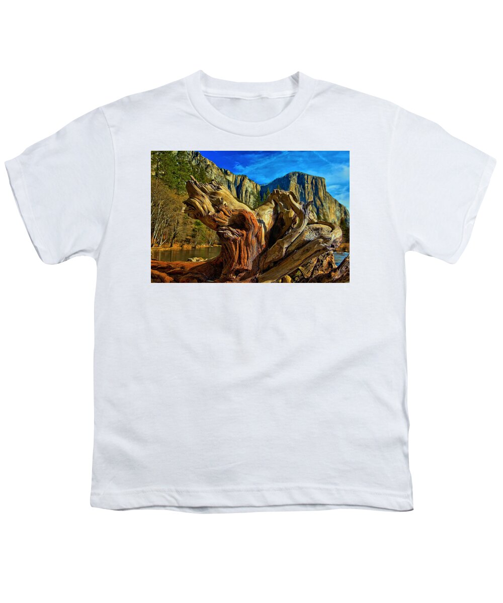Tree Youth T-Shirt featuring the photograph Roots of Yosemite by Josephine Buschman
