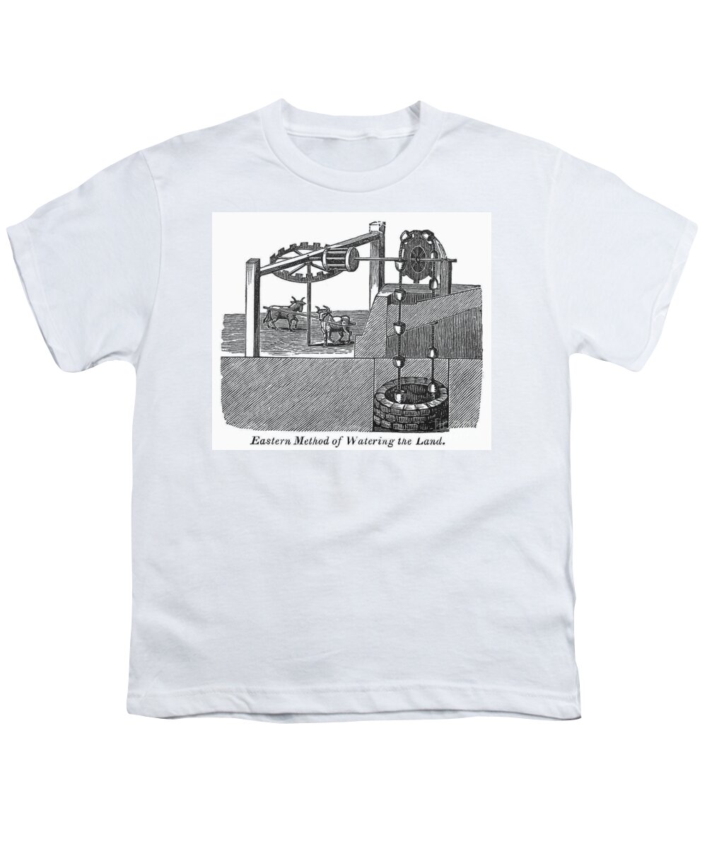 19th Century Youth T-Shirt featuring the photograph Sakia Irrigation by Granger