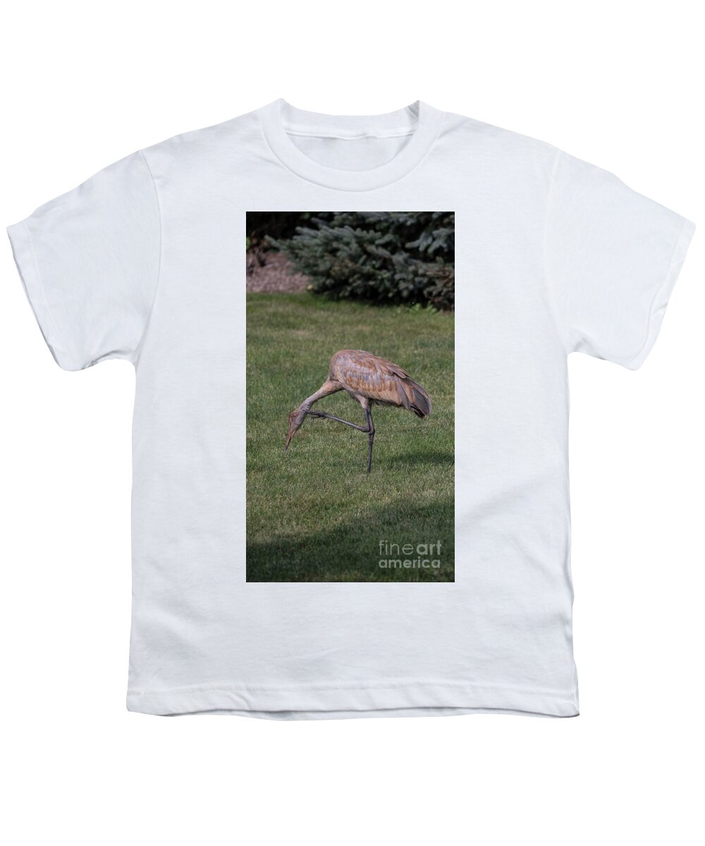 Sandhill Youth T-Shirt featuring the photograph Sandhill Crane - 12 by David Bearden