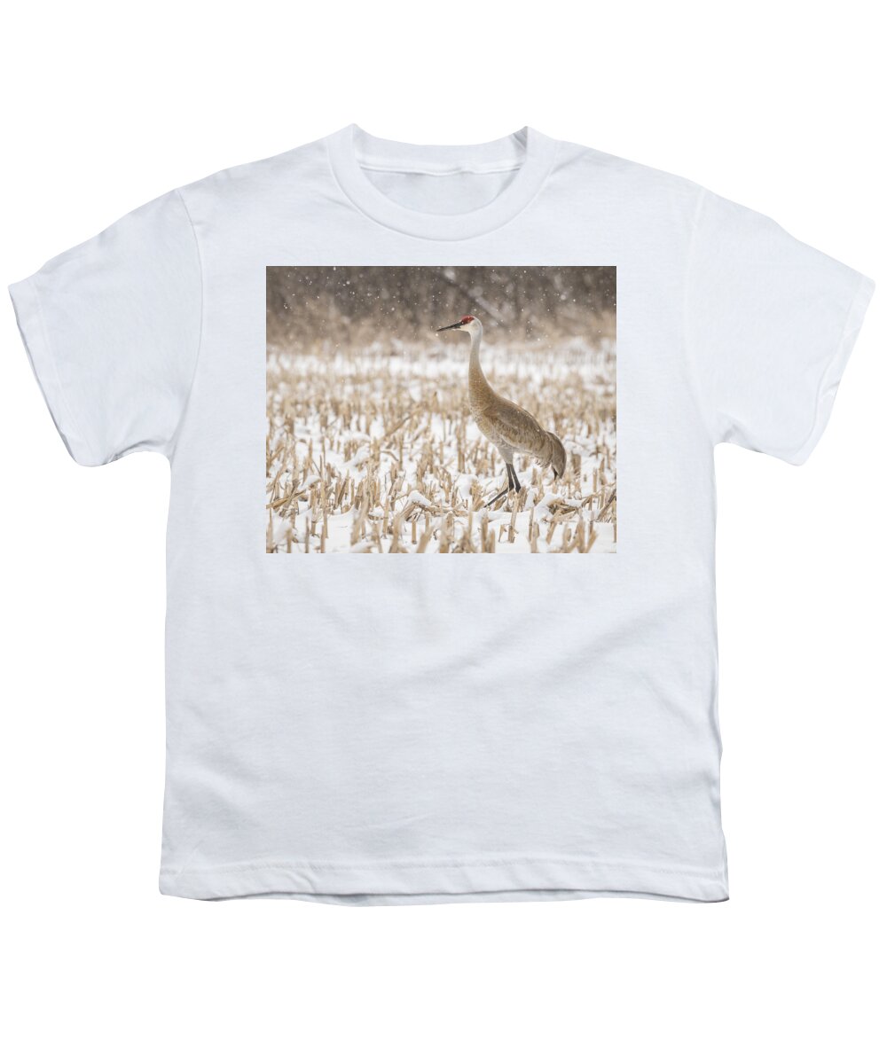 Sandhill Crane Youth T-Shirt featuring the photograph Sandhill Crane 2016-3 by Thomas Young