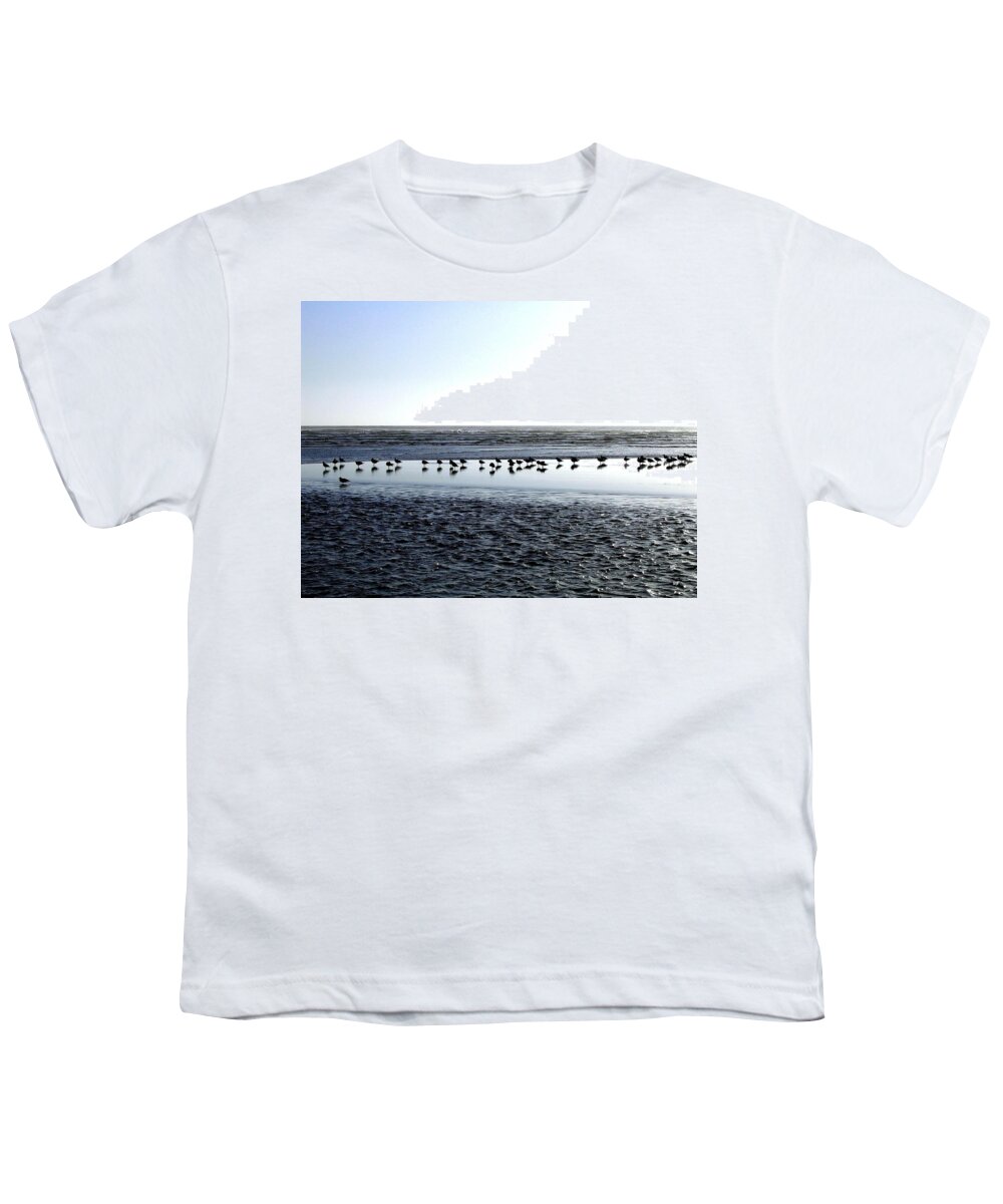 Seagulls Youth T-Shirt featuring the photograph Seagulls On A Sandbar by Will Borden