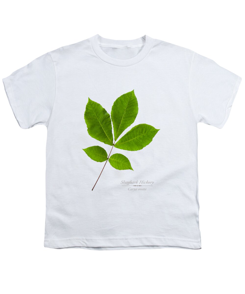 Leaves Youth T-Shirt featuring the photograph Shagbark Hickory Leaves by Christina Rollo