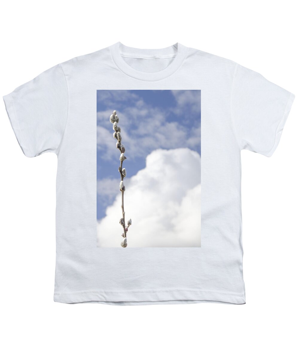 Pussywillow Youth T-Shirt featuring the photograph Signs of Spring 2 by Kathy Paynter