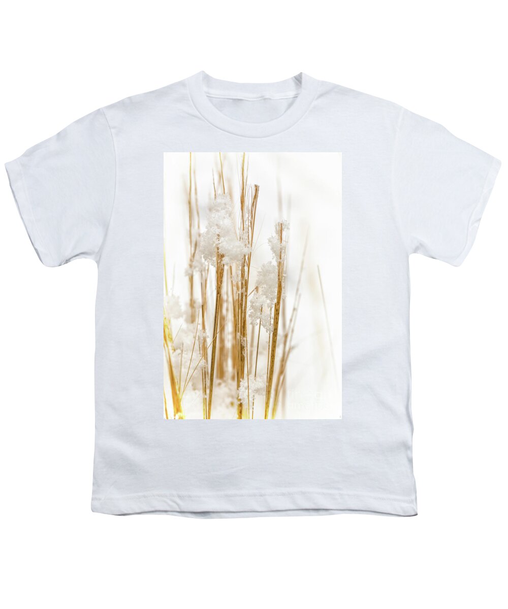 Snow Youth T-Shirt featuring the photograph Snowy weed - vertical by Delphimages Photo Creations