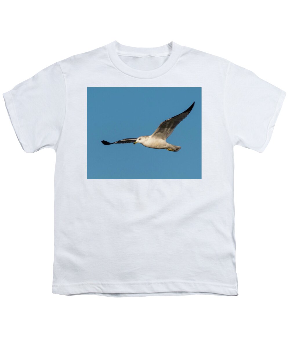Wildlife Youth T-Shirt featuring the photograph Soaring Gull by John Benedict