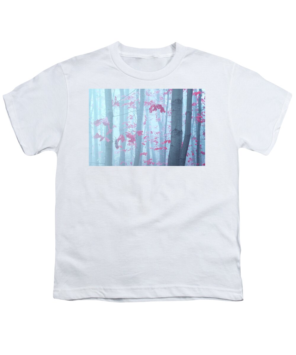 Jenny Rainbow Fine Art Photography Youth T-Shirt featuring the photograph Splashes of Autumn Colors 1 by Jenny Rainbow