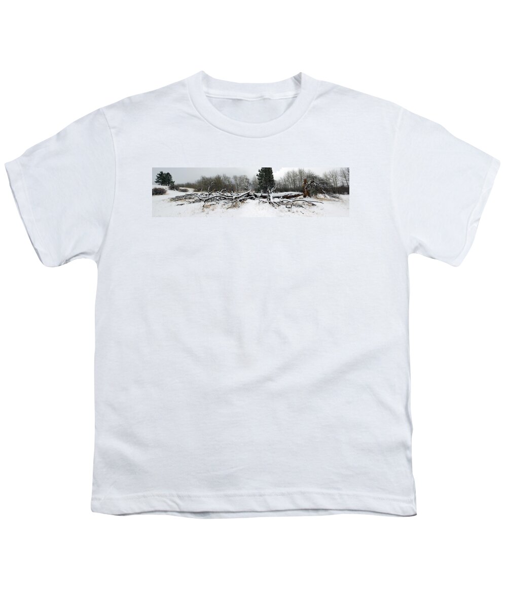 Tree Youth T-Shirt featuring the photograph Split Personality - Panorama by Shane Bechler