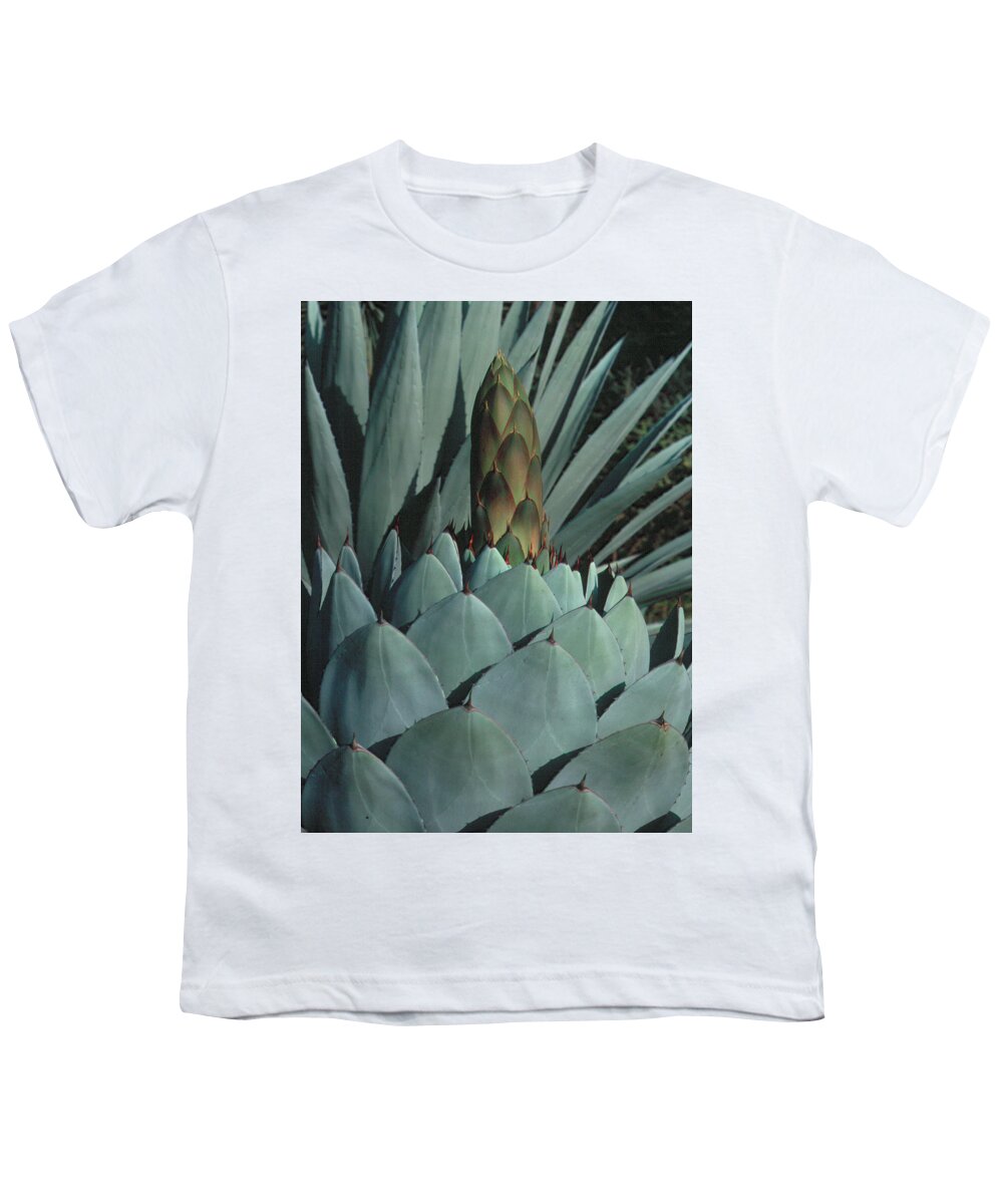 Agave Youth T-Shirt featuring the photograph Succulent 1 by Andy Shomock