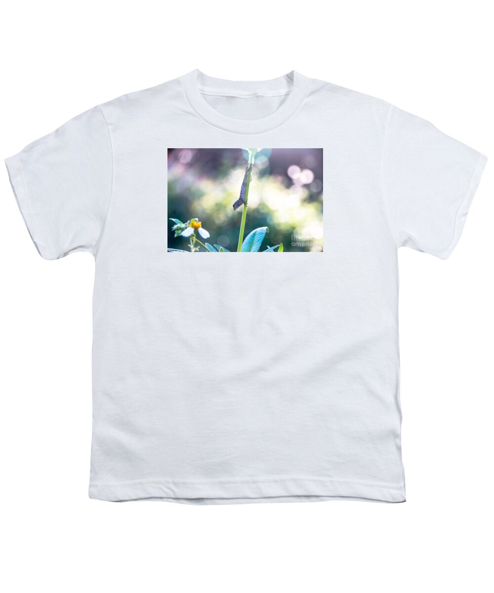 Animal Youth T-Shirt featuring the photograph Suspended headlong lizard by Amanda Mohler
