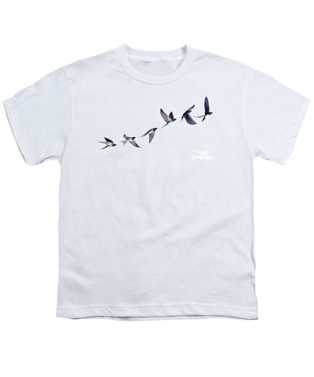 Barn Swallow Youth T-Shirt featuring the photograph Swallow flight series by Warren Photographic
