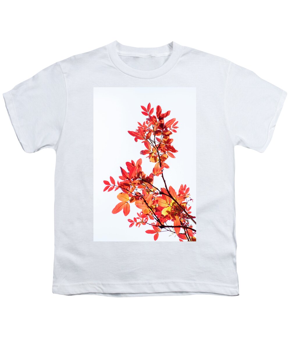 Tender Youth T-Shirt featuring the photograph Tender leaves by Hitendra SINKAR