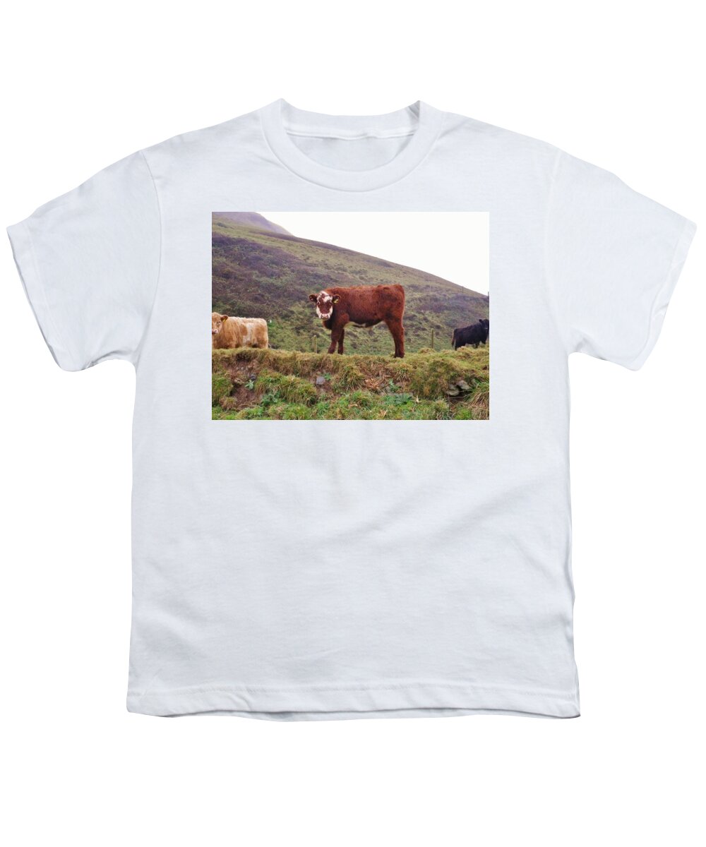 Cows Youth T-Shirt featuring the photograph That Feeling Of Being Watched by Richard Brookes