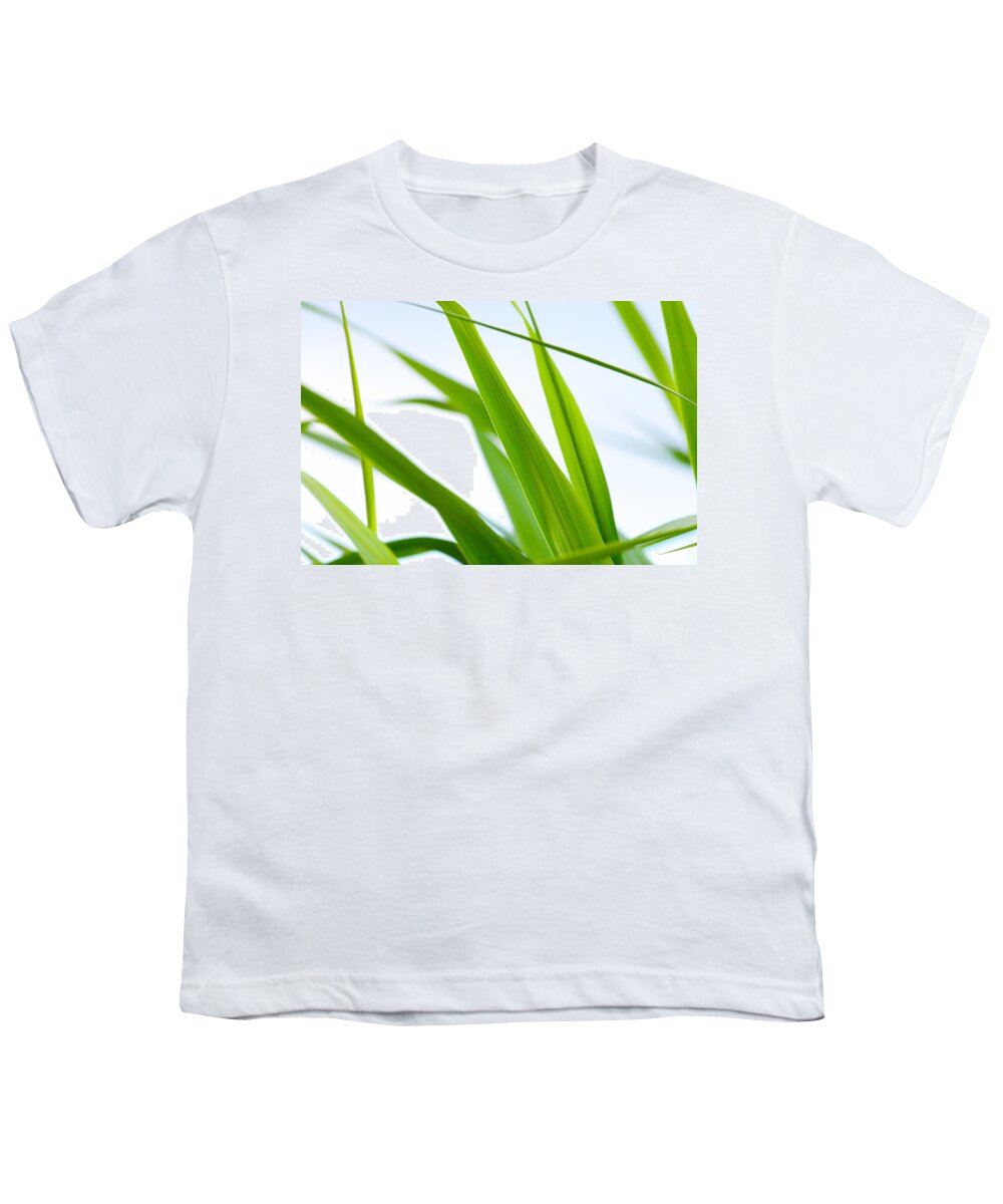 Steven Green Photography Youth T-Shirt featuring the photograph The Cane by SR Green