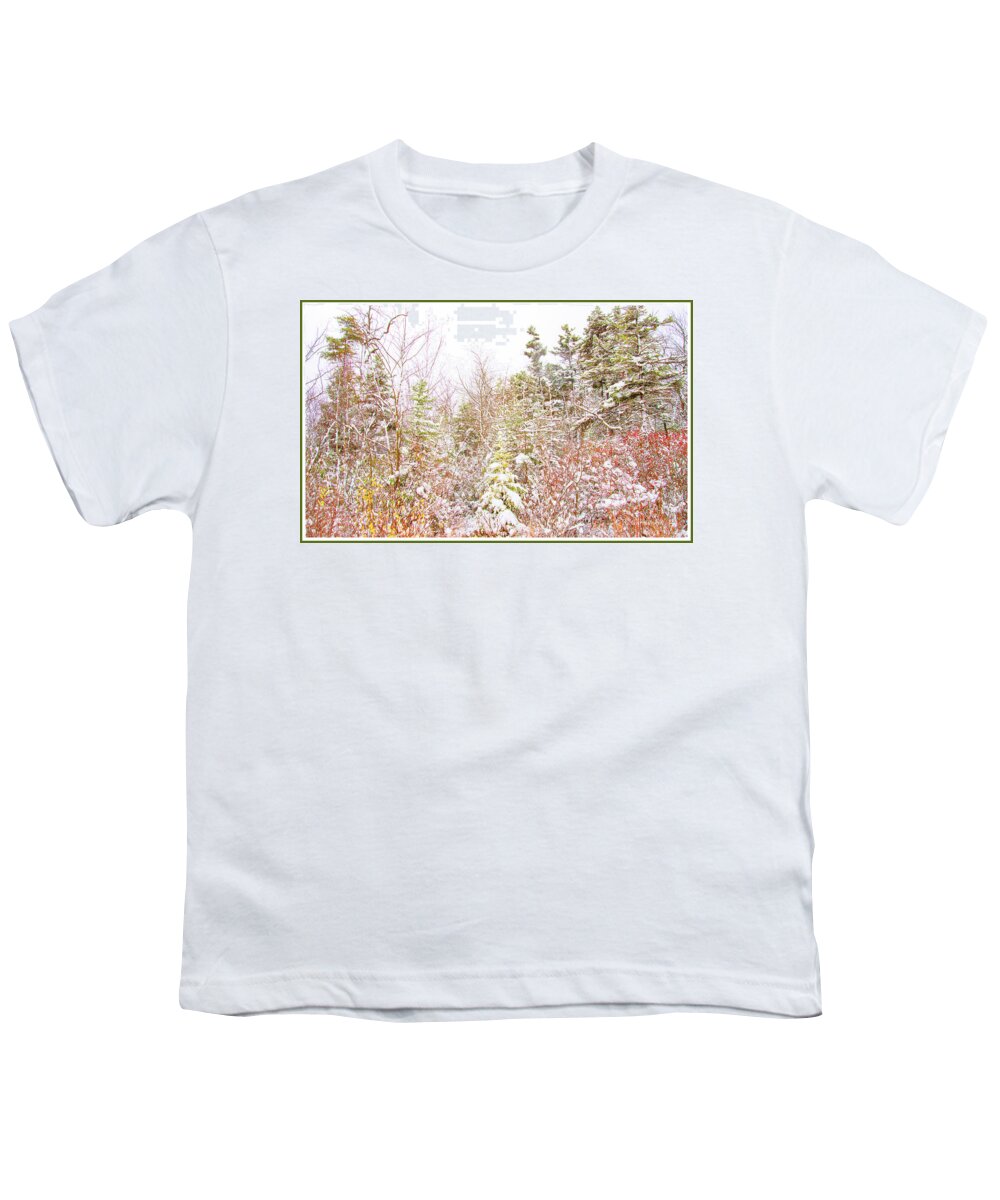 Thicket Youth T-Shirt featuring the photograph Thicket by a Country Road in Winter by A Macarthur Gurmankin