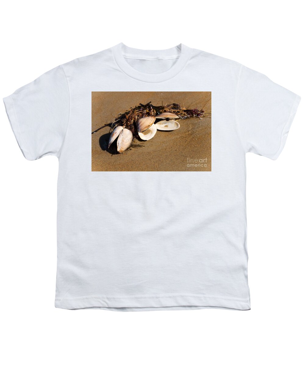 Quahog Shell Youth T-Shirt featuring the photograph Three Little Shells by Elizabeth Dow