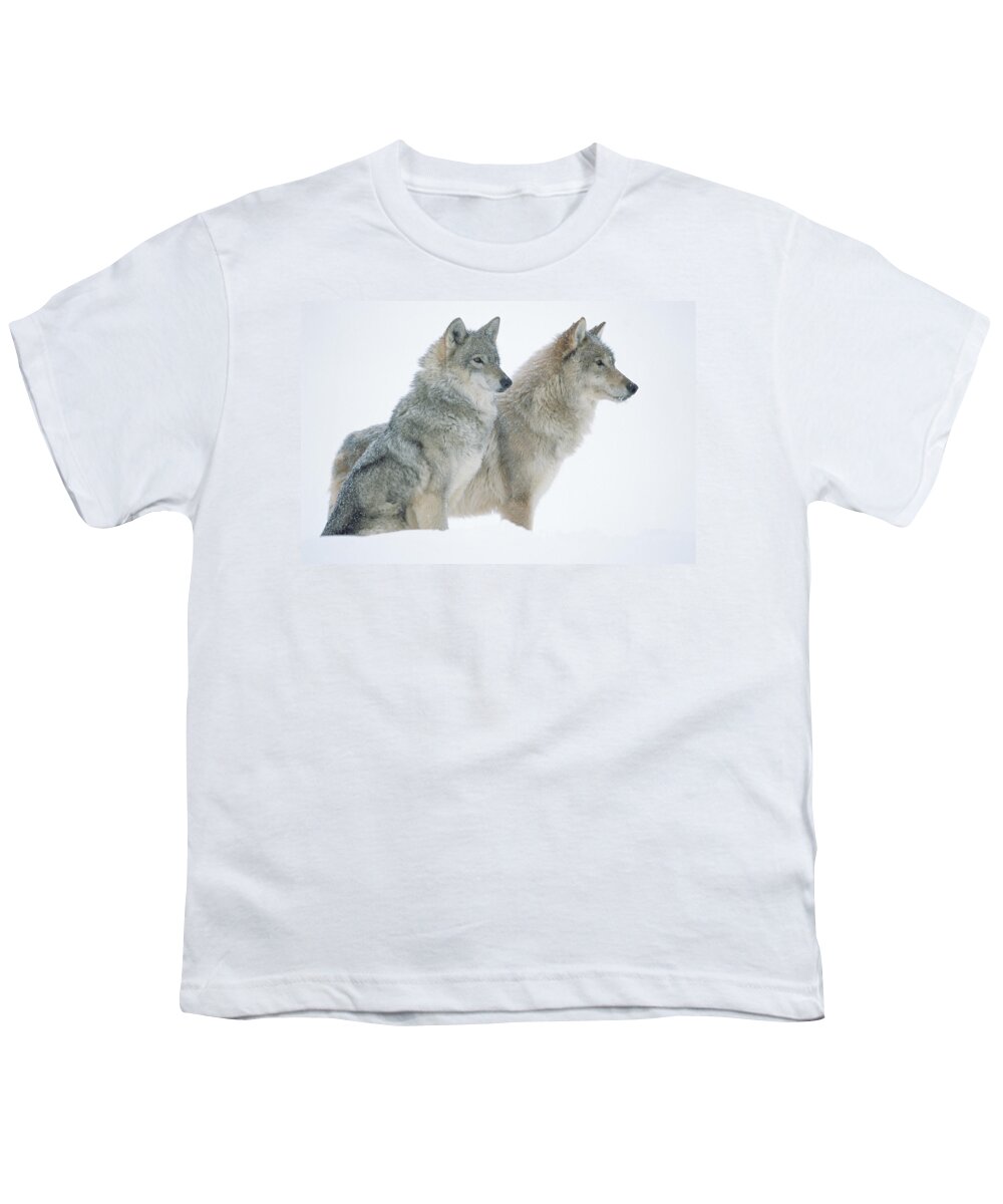 00174273 Youth T-Shirt featuring the photograph Timber Wolf Portrait Of Pair Sitting by Tim Fitzharris