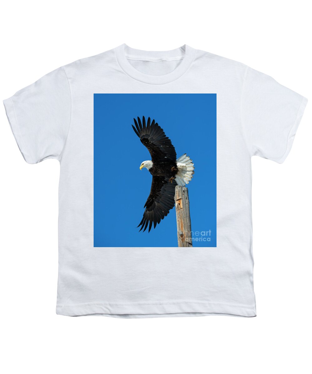 Eagle Youth T-Shirt featuring the photograph To the Air by Michael Dawson