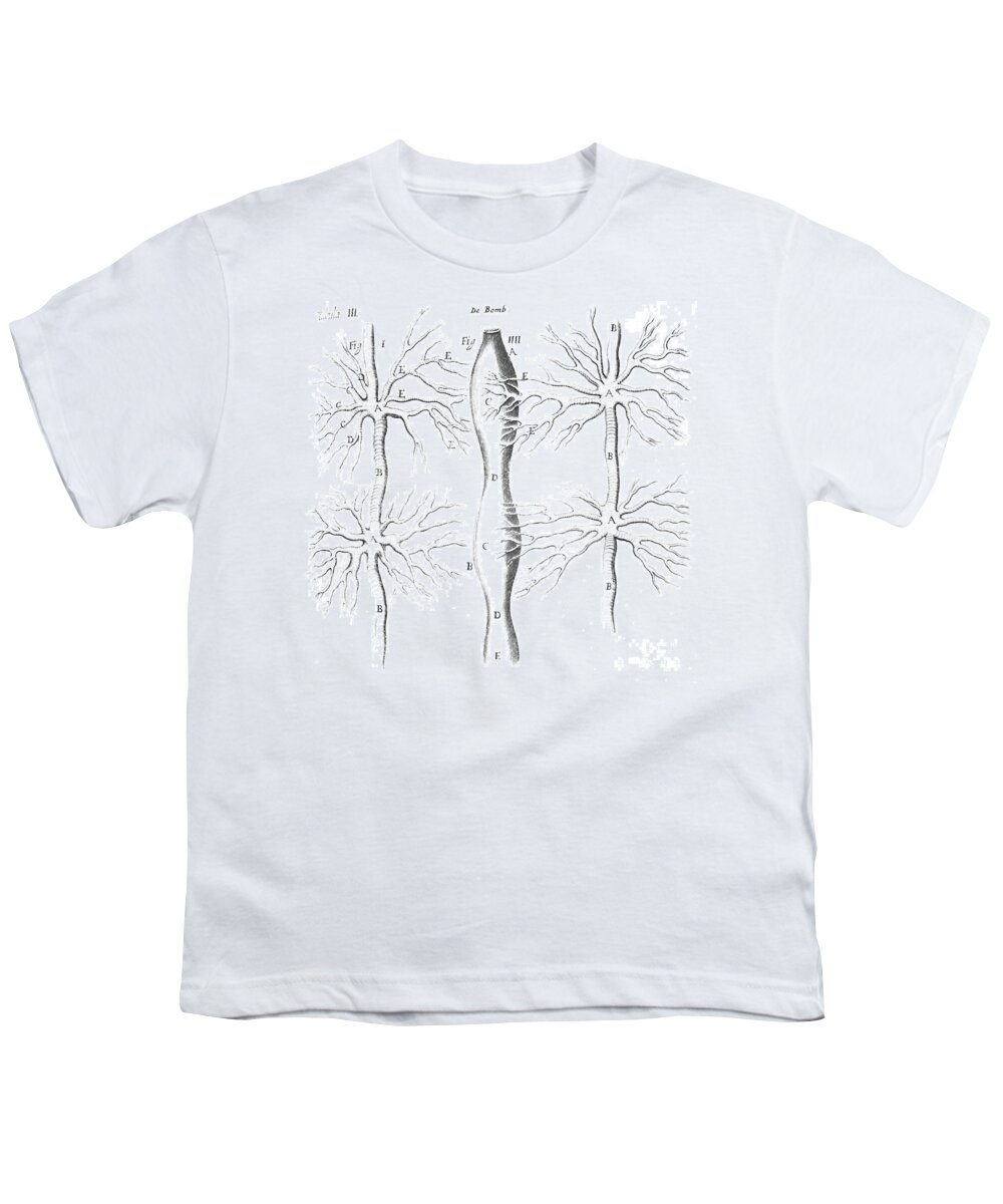 Historic Youth T-Shirt featuring the photograph Tracheal System Of The Silkworm by Wellcome Images