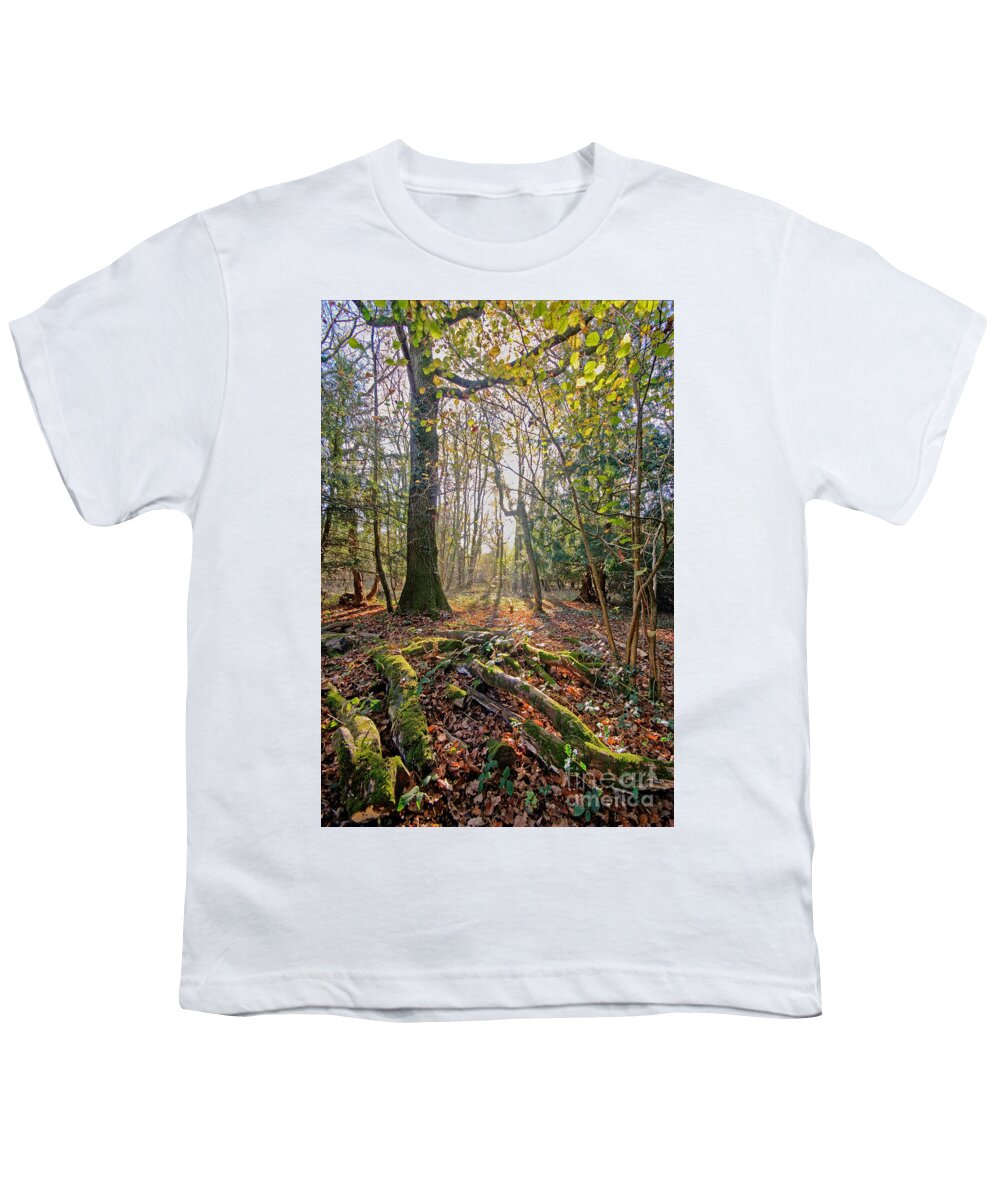 Autumn Youth T-Shirt featuring the photograph Tree and roots - Leigh Woods by Colin Rayner