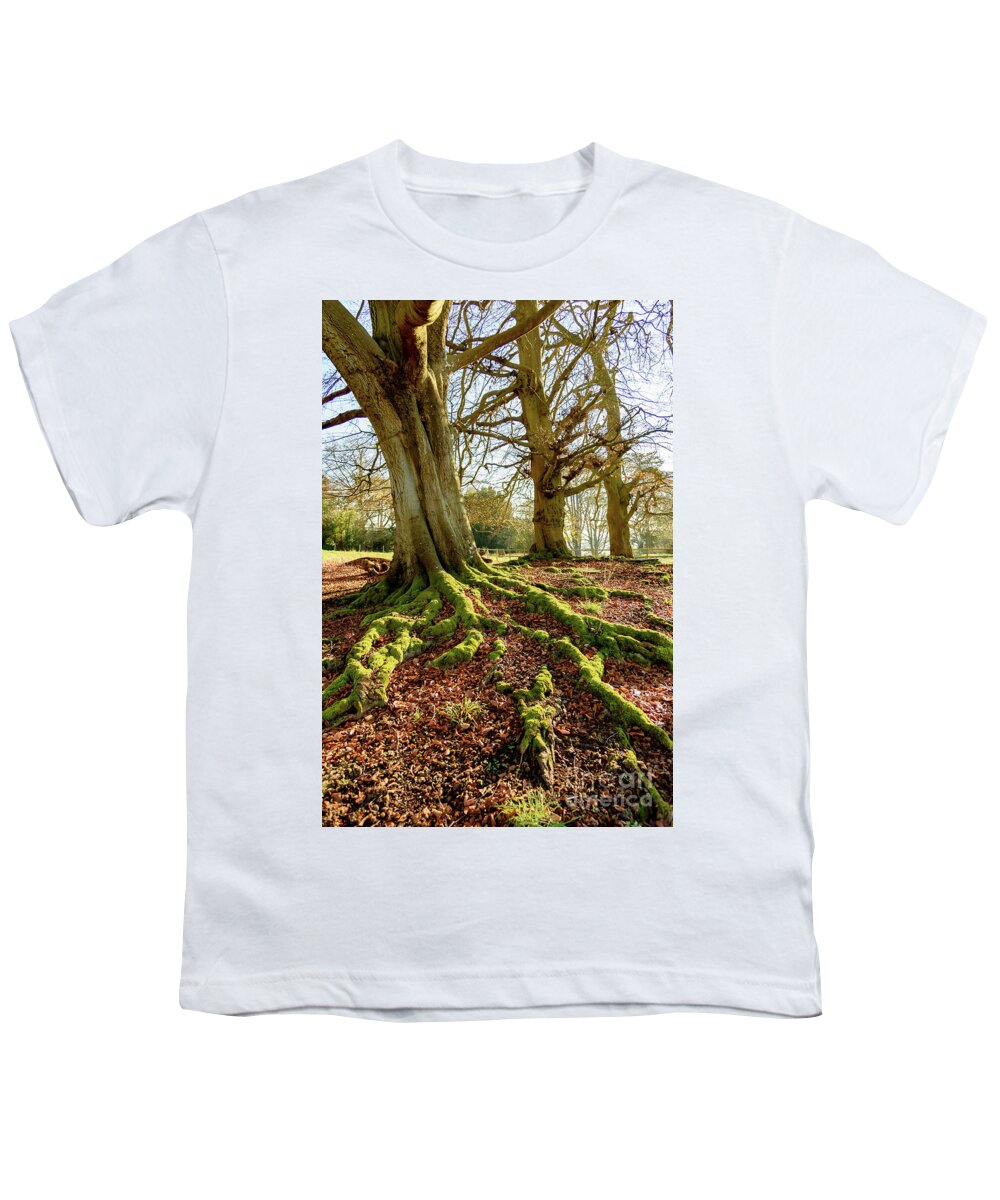 Tyntsfield Youth T-Shirt featuring the photograph Tree roots and moss by Colin Rayner