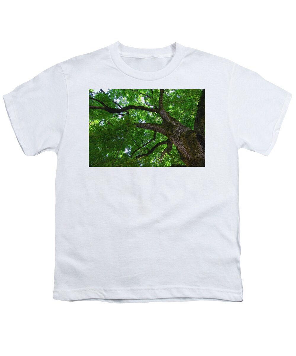 Tree Youth T-Shirt featuring the photograph Tree Story 1 by Bonnie Bruno