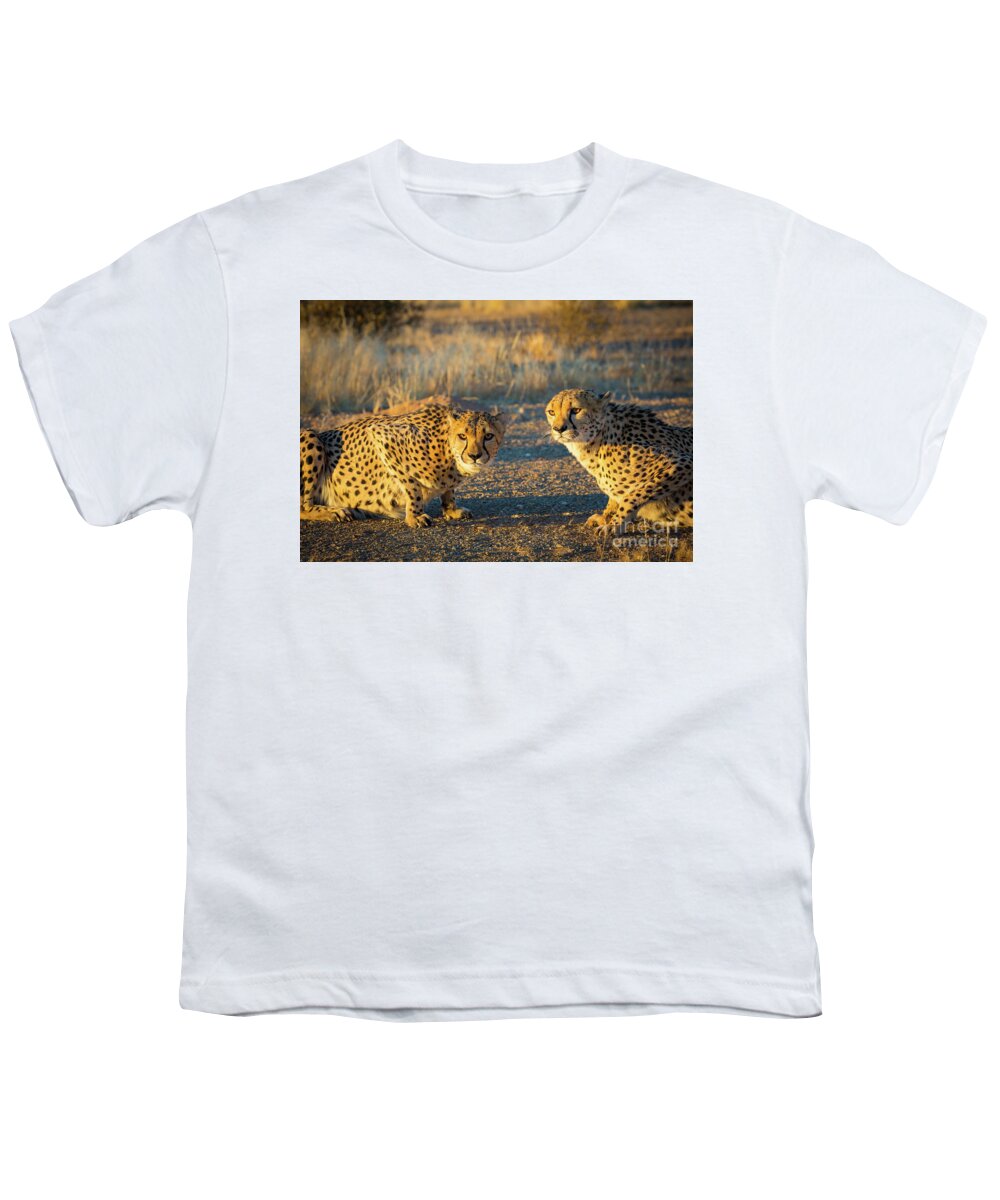 Africa Youth T-Shirt featuring the photograph Two Cheetahs by Inge Johnsson