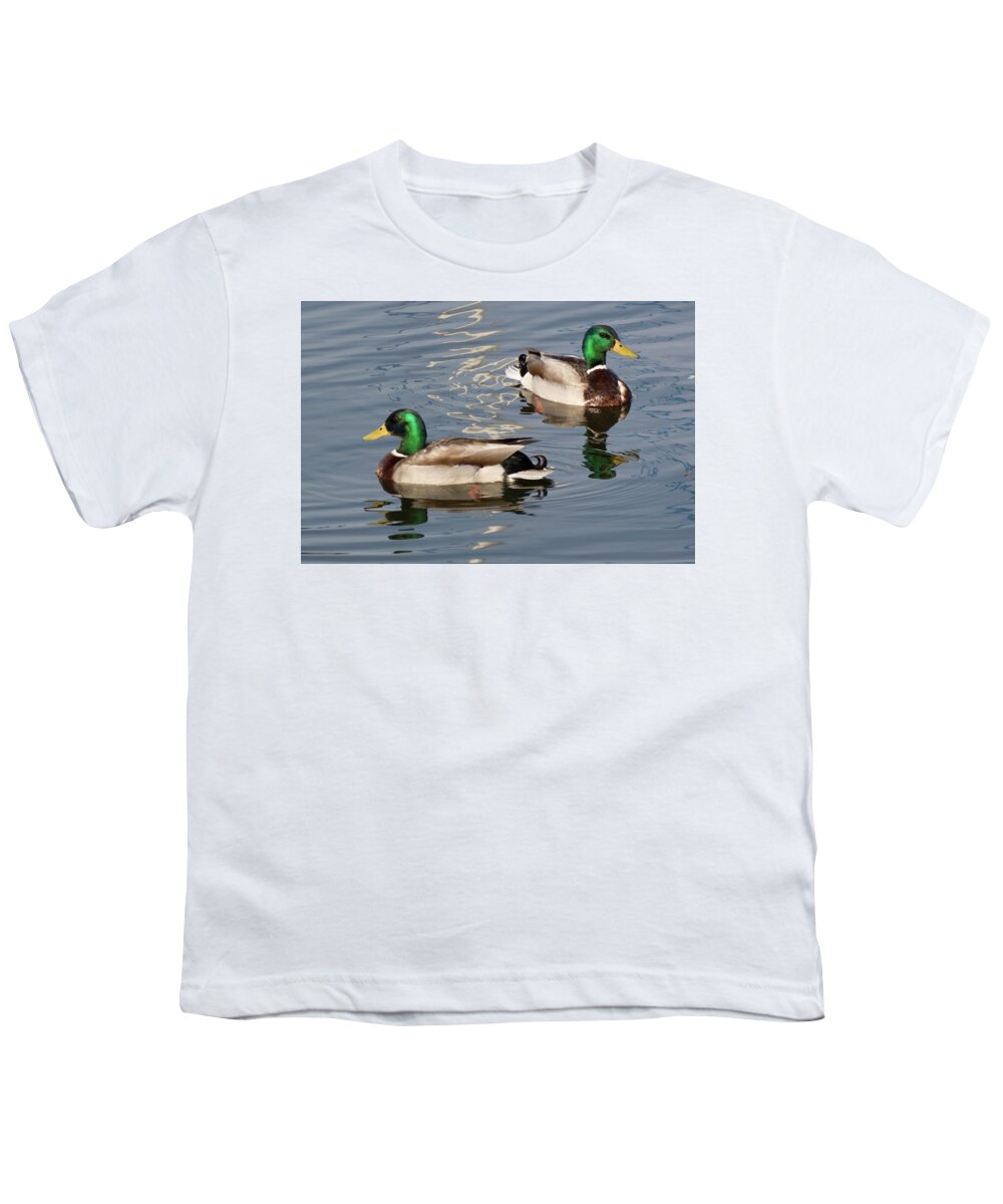 Wildlife Youth T-Shirt featuring the photograph Where's The Women by John Benedict