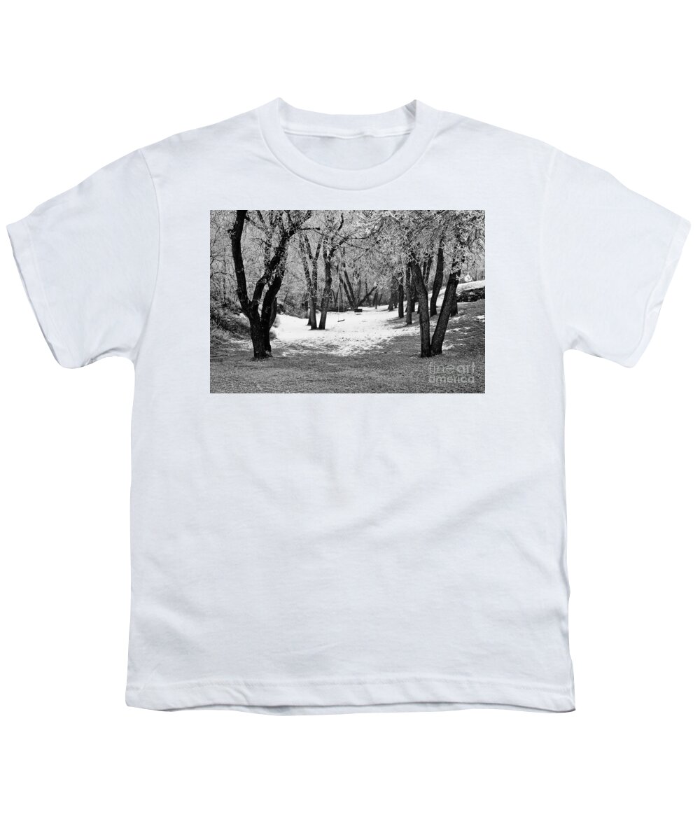 Ice Youth T-Shirt featuring the photograph Winter Swing by James Jones