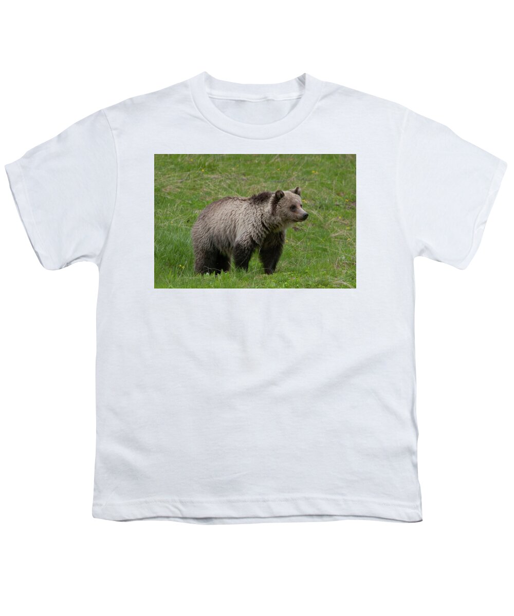 Grizzly Youth T-Shirt featuring the photograph Young Grizzly by Mark Miller