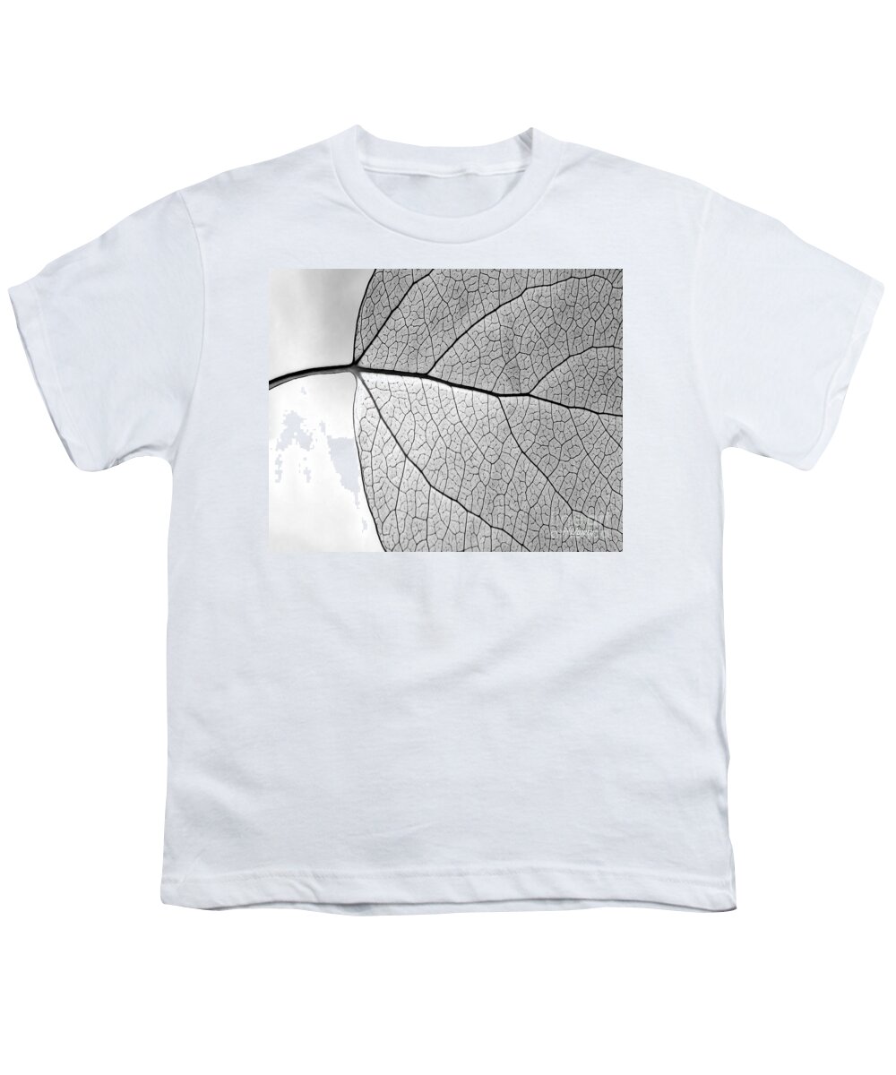 Aspen Leaf Veins Youth T-Shirt featuring the photograph Aspen Leaf Veins #2 by Natalie Dowty