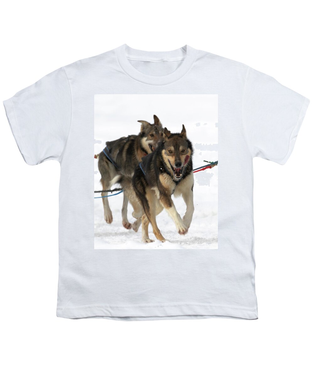 Sled Dog Race Youth T-Shirt featuring the photograph A Smile at the Finish by Susan Rissi Tregoning