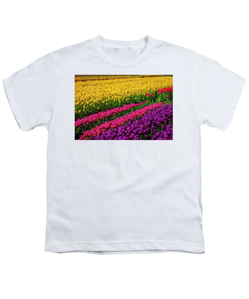 Tulip Youth T-Shirt featuring the photograph Colorful Rows Of Spring Tulips by Garry Gay
