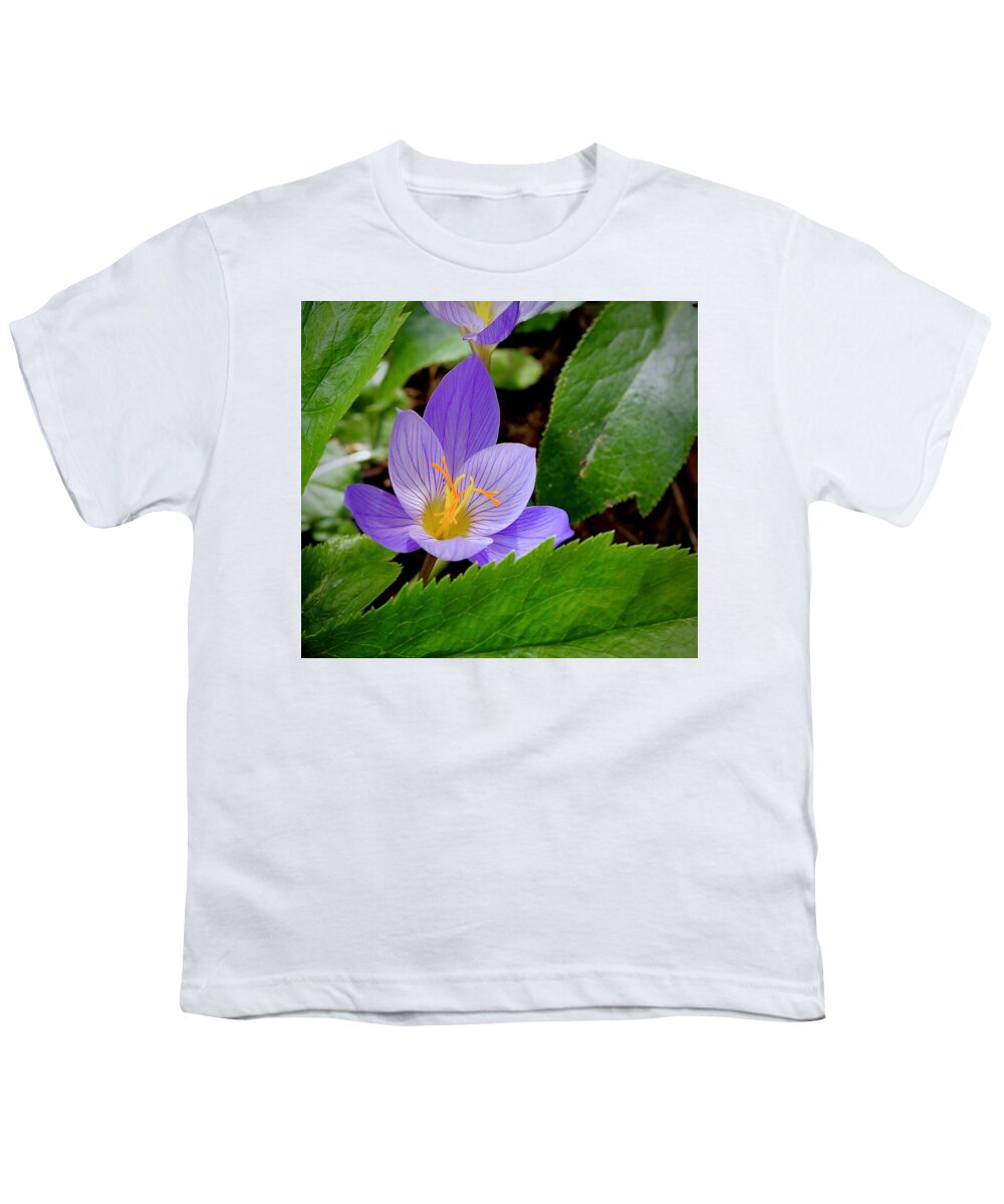 Crocus Youth T-Shirt featuring the photograph Crocus Time by Alida M Haslett