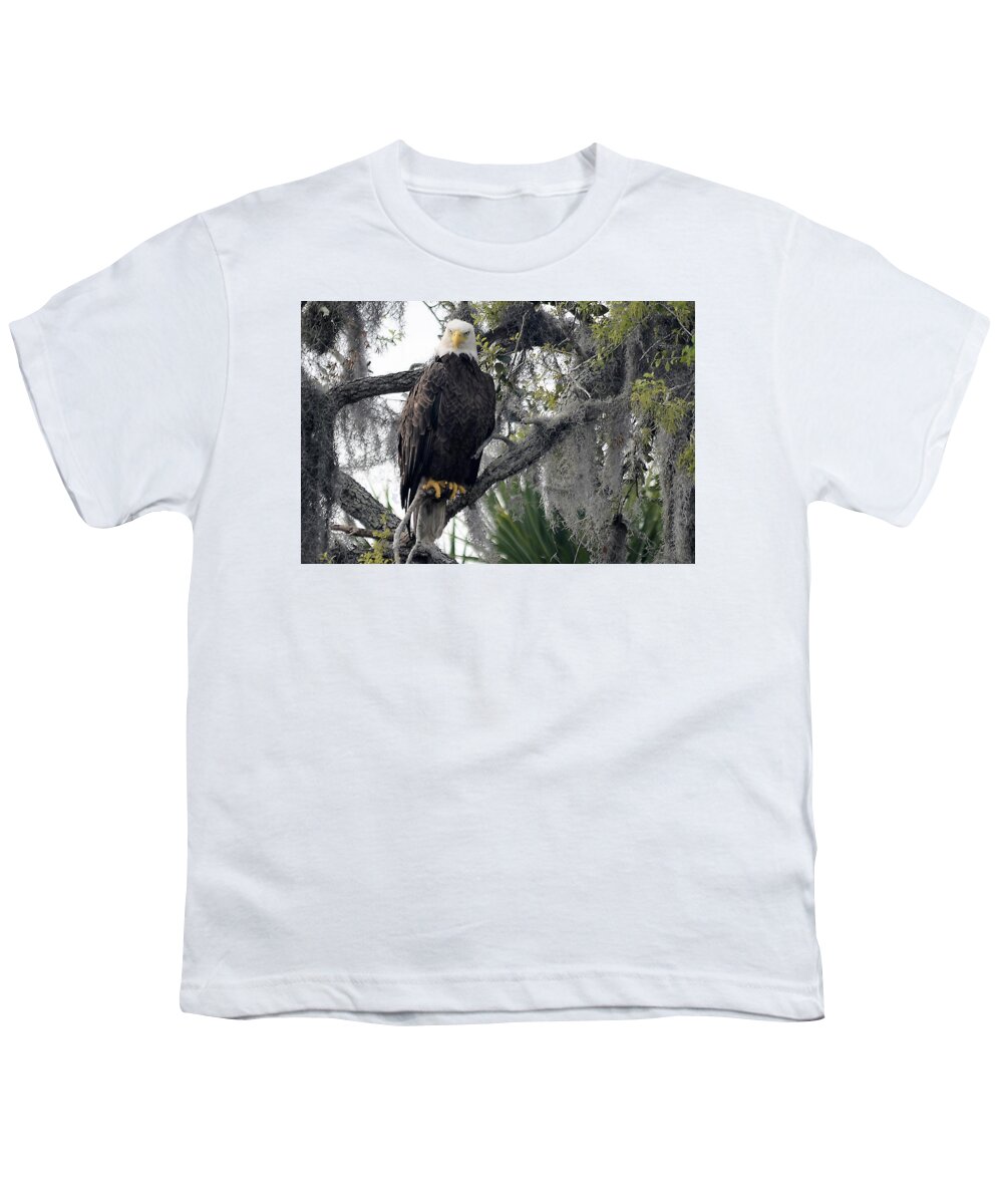 American Bald Eagle Youth T-Shirt featuring the photograph Eagle Eye by T Lynn Dodsworth