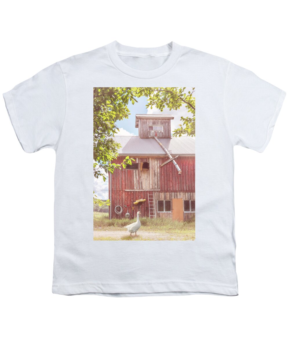 Barns Youth T-Shirt featuring the photograph Farmgoose Soft Colors by Debra and Dave Vanderlaan