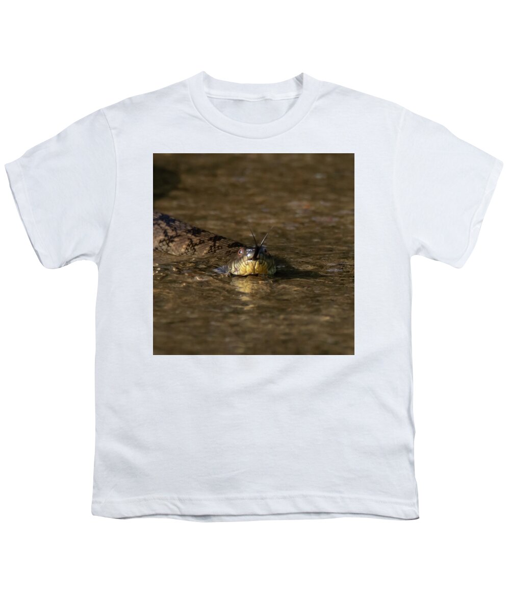 Snake Youth T-Shirt featuring the photograph Forked Tongue by Patrick Nowotny