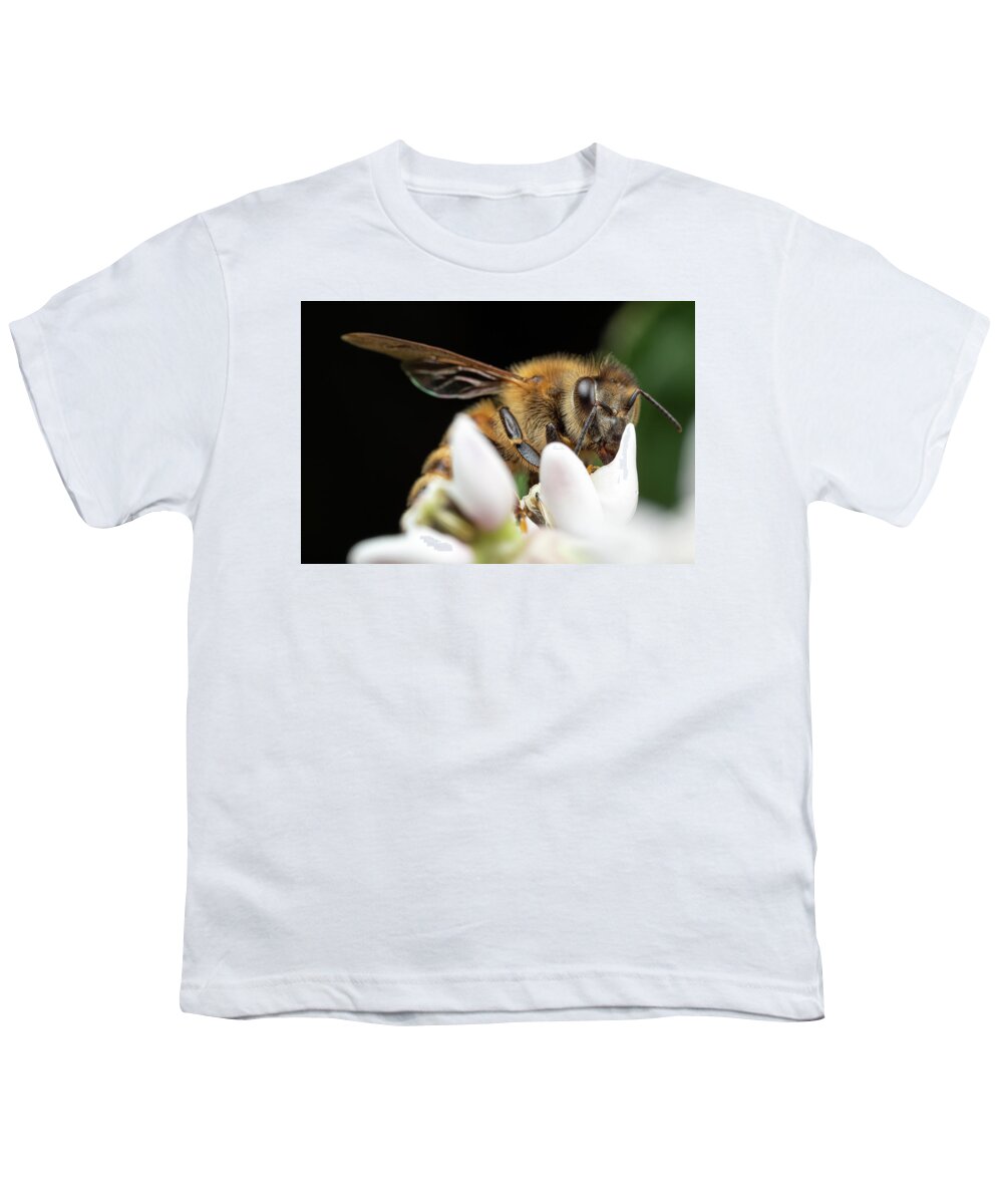 Honey-bee Honeybee Honey Bee Apiary Insect Close Up Closeup Close-up Macro Outside Outdoors Nature Brian Hale Brianhalephoto Youth T-Shirt featuring the photograph Honeybee Peeking by Brian Hale